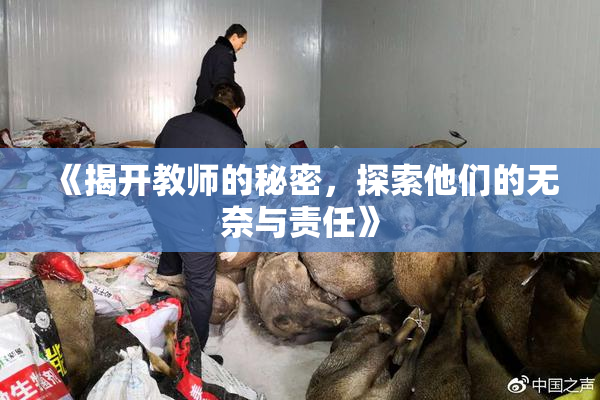 《揭开教师的秘密，探索他们的无奈与责任》