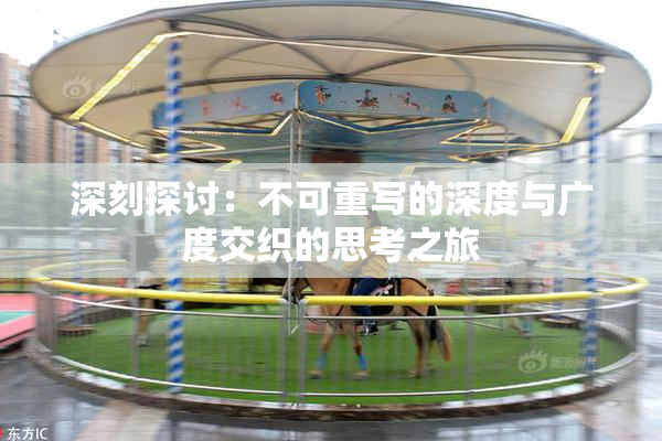 深刻探讨：不可重写的深度与广度交织的思考之旅