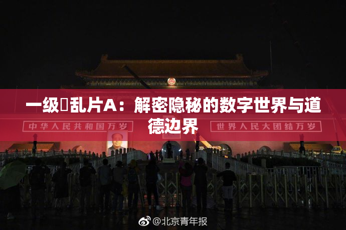 一级婬乱片A：解密隐秘的数字世界与道德边界