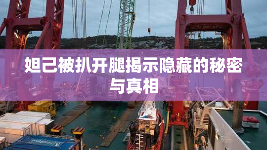 妲己被扒开腿揭示隐藏的秘密与真相