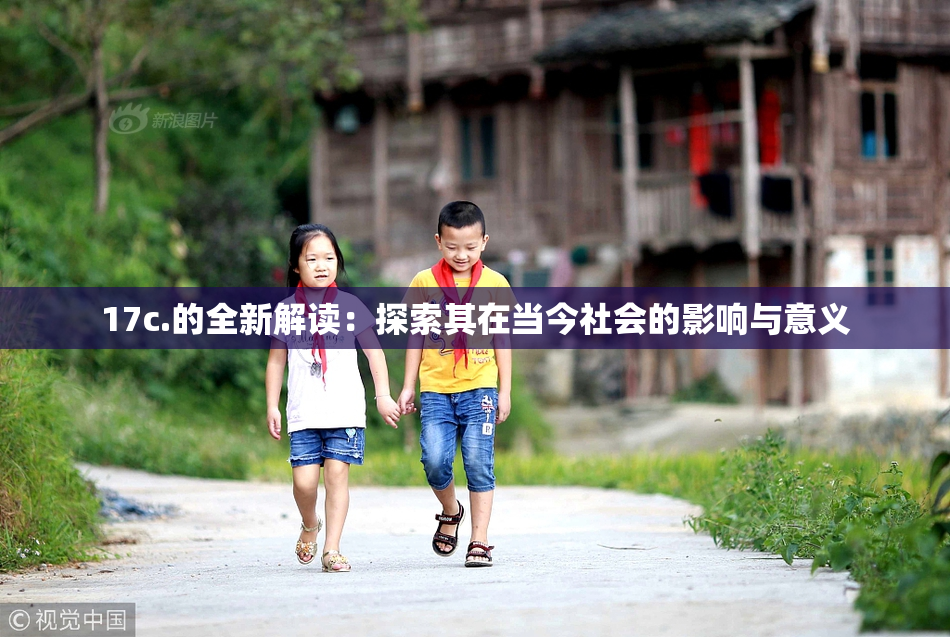 17c.的全新解读：探索其在当今社会的影响与意义