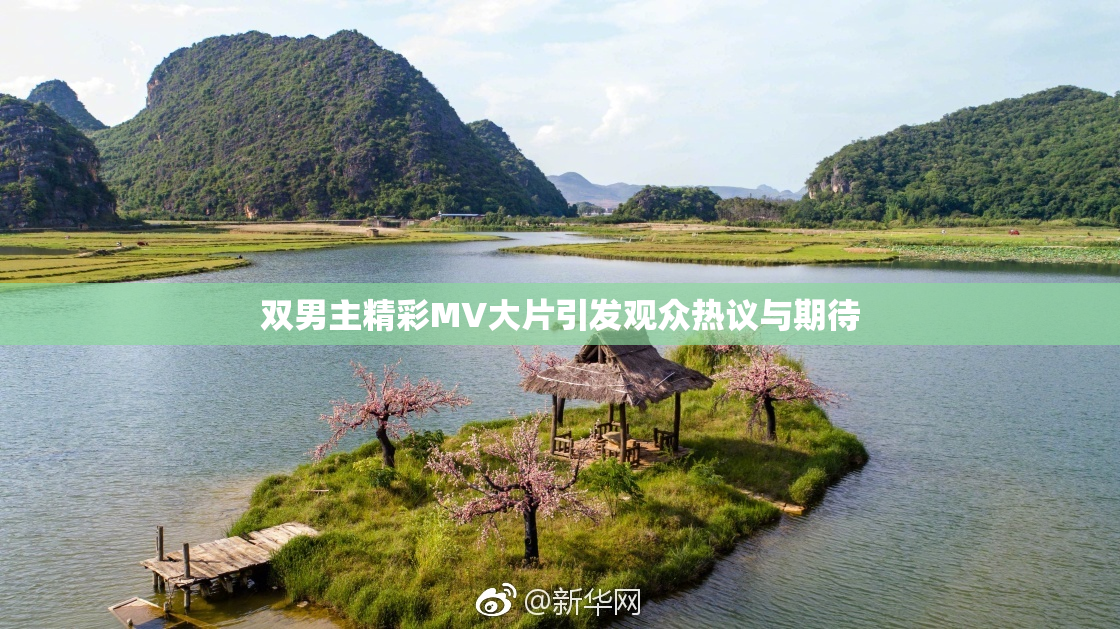 双男主精彩MV大片引发观众热议与期待