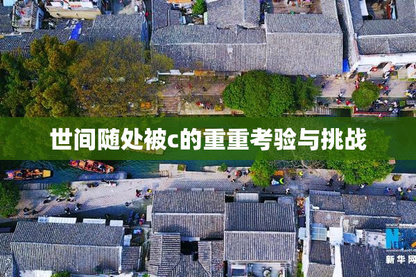 世间随处被c的重重考验与挑战