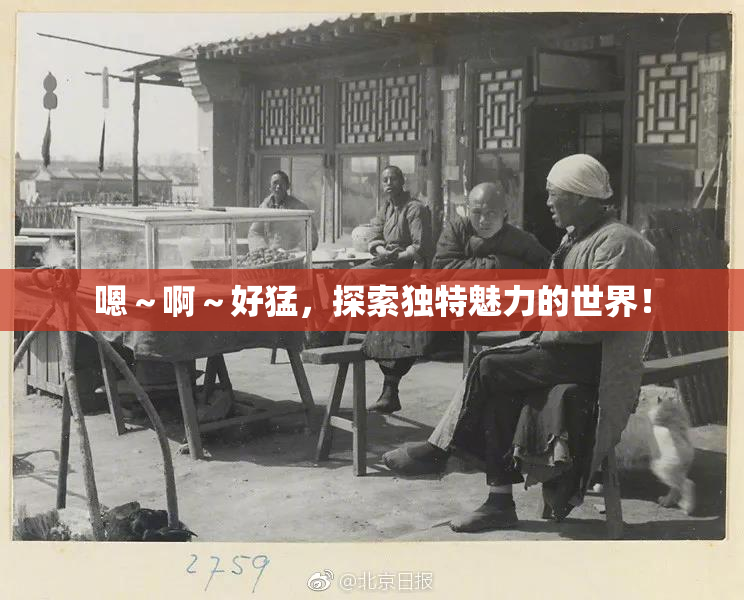 嗯～啊～好猛，探索独特魅力的世界！