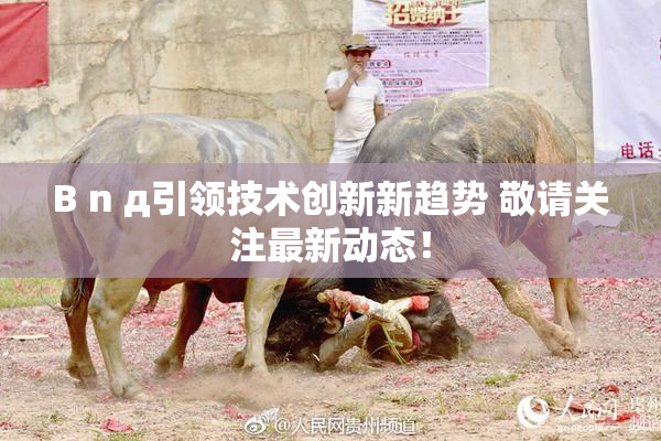 B n д引领技术创新新趋势 敬请关注最新动态！