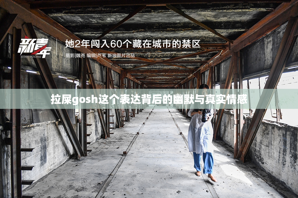 拉屎gosh这个表达背后的幽默与真实情感