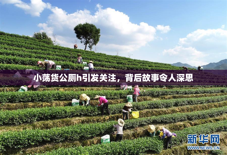 小荡货公厕h引发关注，背后故事令人深思