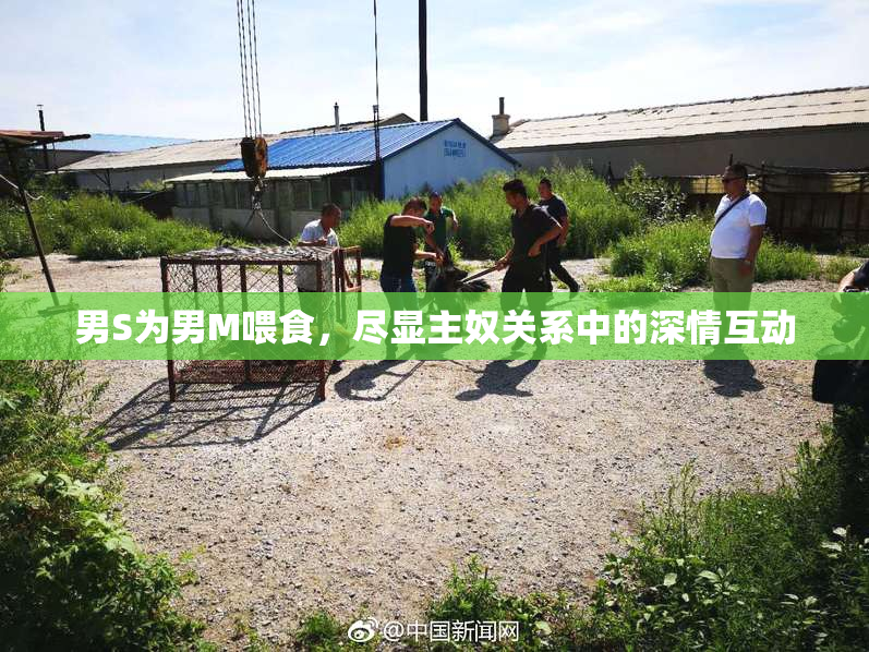男S为男M喂食，尽显主奴关系中的深情互动