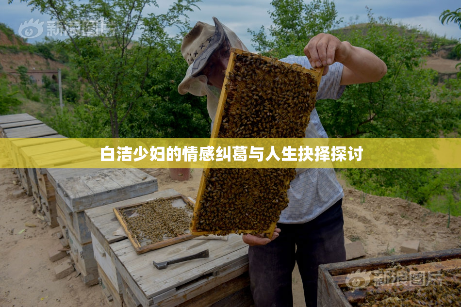 白洁少妇的情感纠葛与人生抉择探讨