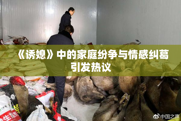 《诱媳》中的家庭纷争与情感纠葛引发热议