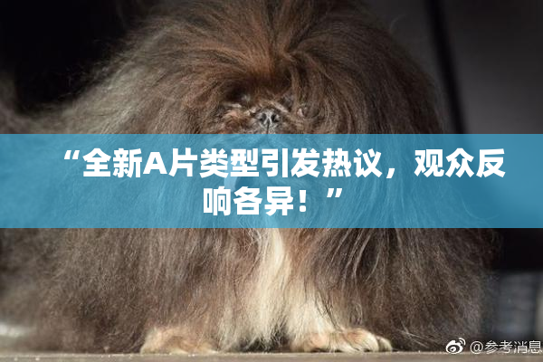 “全新A片类型引发热议，观众反响各异！”