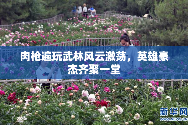 肉枪遍玩武林风云激荡，英雄豪杰齐聚一堂