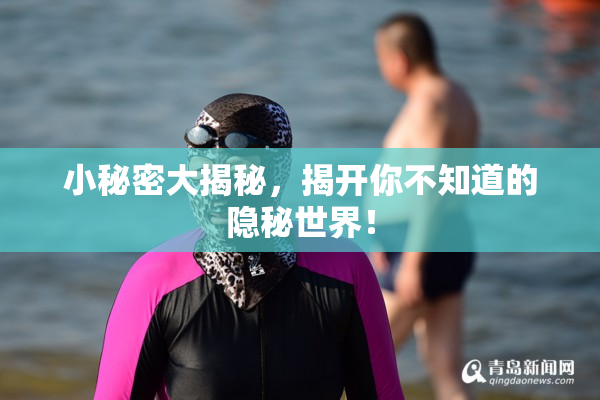 小秘密大揭秘，揭开你不知道的隐秘世界！