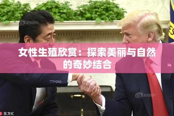 女性生殖欣赏：探索美丽与自然的奇妙结合