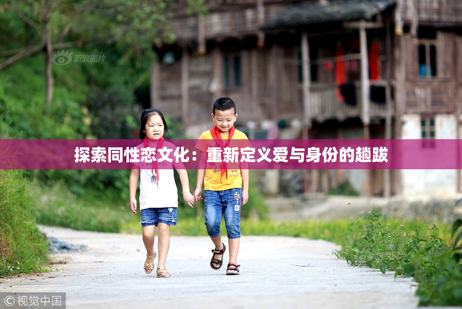 探索同性恋文化：重新定义爱与身份的趟跋