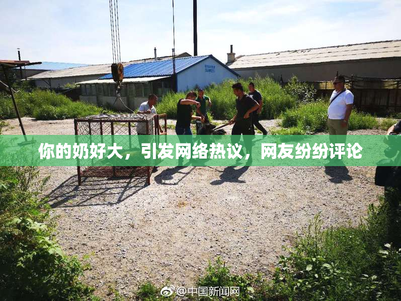 你的奶好大，引发网络热议，网友纷纷评论