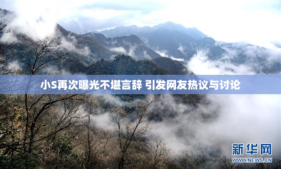 小S再次曝光不堪言辞 引发网友热议与讨论