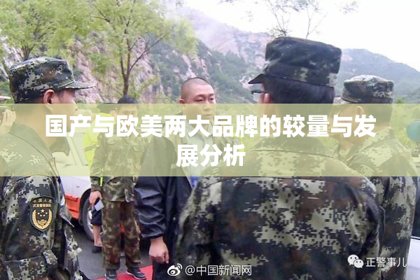 国产与欧美两大品牌的较量与发展分析