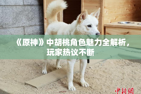 《原神》中胡桃角色魅力全解析，玩家热议不断