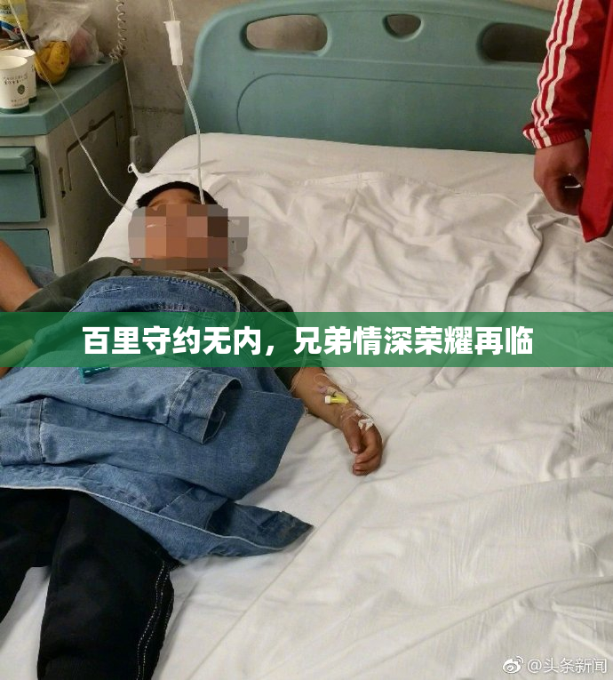 百里守约无内，兄弟情深荣耀再临