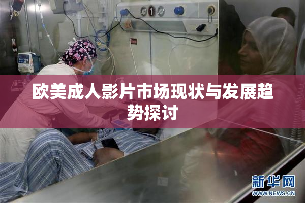 欧美成人影片市场现状与发展趋势探讨