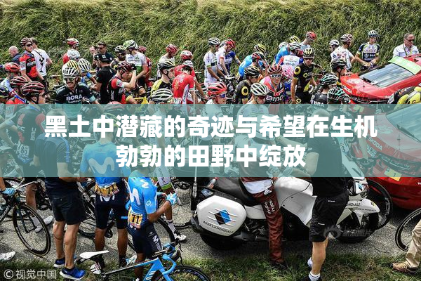 黑土中潜藏的奇迹与希望在生机勃勃的田野中绽放