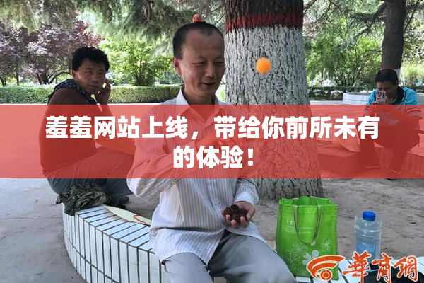 羞羞网站上线，带给你前所未有的体验！
