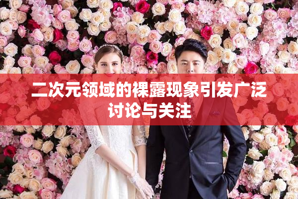 二次元领域的裸露现象引发广泛讨论与关注