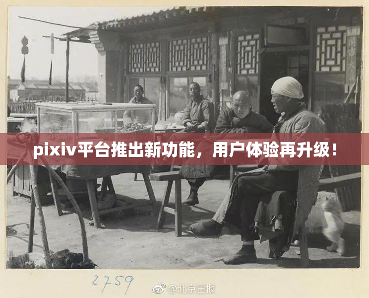 pixiv平台推出新功能，用户体验再升级！