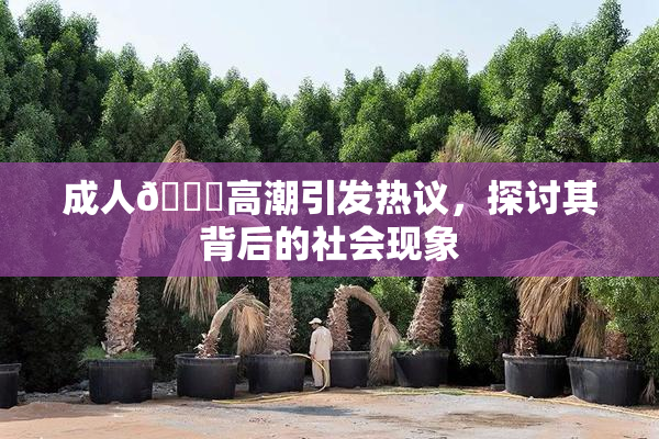 成人🔞高潮引发热议，探讨其背后的社会现象