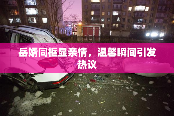 岳婿同框显亲情，温馨瞬间引发热议