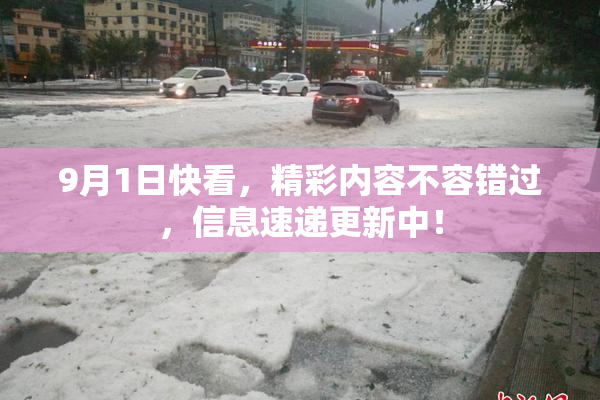 9月1日快看，精彩内容不容错过，信息速递更新中！