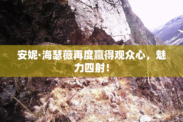 安妮·海瑟薇再度赢得观众心，魅力四射！