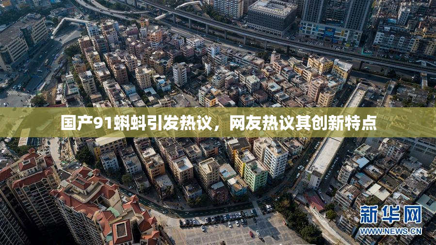 国产91蝌蚪引发热议，网友热议其创新特点