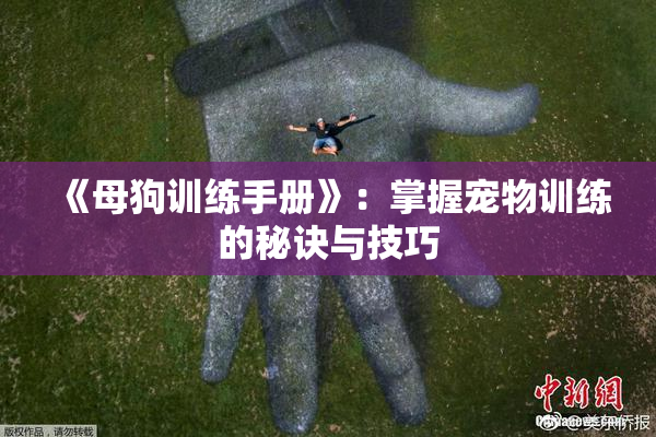 《母狗训练手册》：掌握宠物训练的秘诀与技巧
