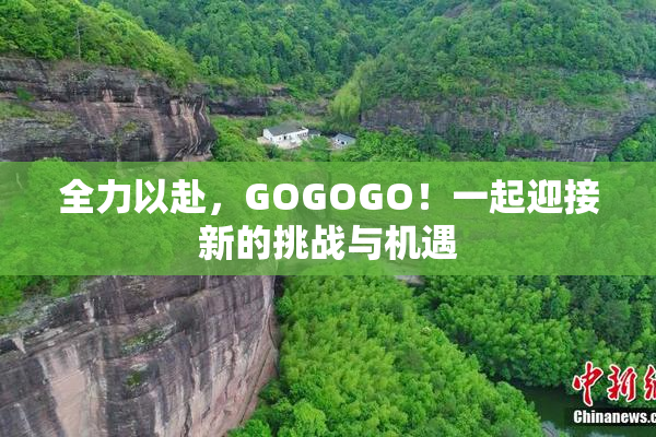 全力以赴，GOGOGO！一起迎接新的挑战与机遇