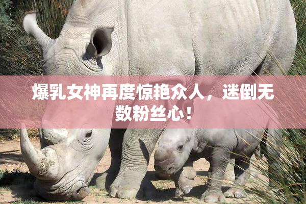 爆乳女神再度惊艳众人，迷倒无数粉丝心！