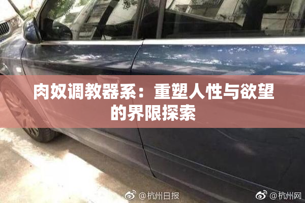肉奴调教器系：重塑人性与欲望的界限探索