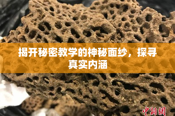揭开秘密教学的神秘面纱，探寻真实内涵