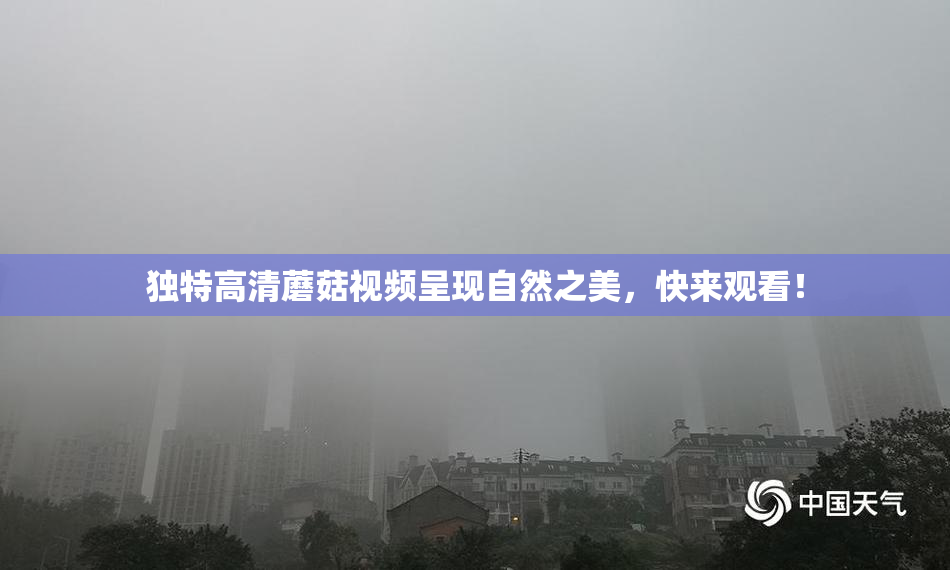 独特高清蘑菇视频呈现自然之美，快来观看！