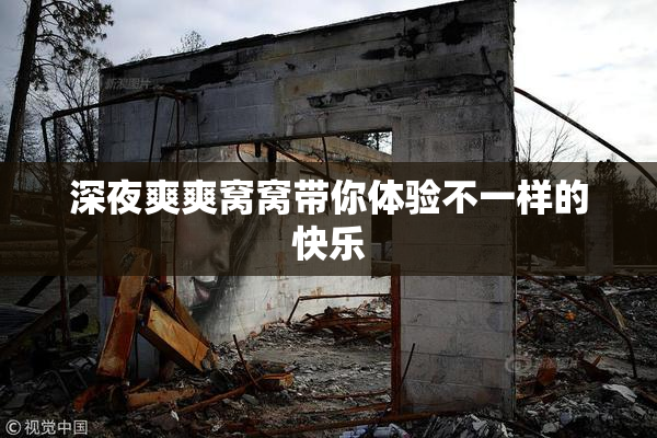 深夜爽爽窝窝带你体验不一样的快乐