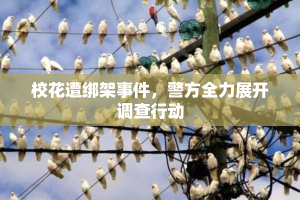 校花遭绑架事件，警方全力展开调查行动