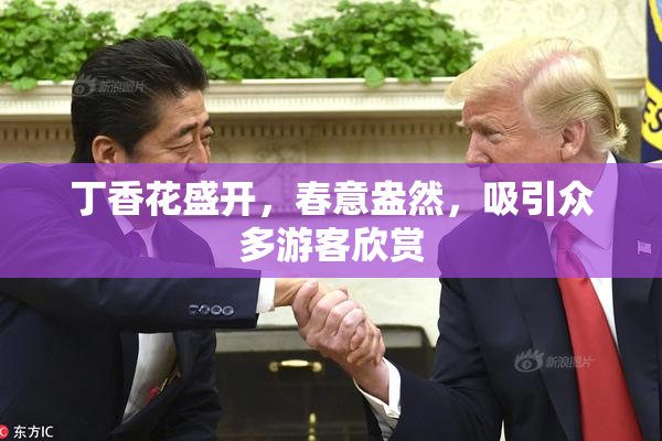 丁香花盛开，春意盎然，吸引众多游客欣赏