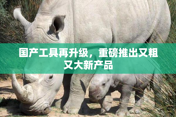 国产工具再升级，重磅推出又粗又大新产品