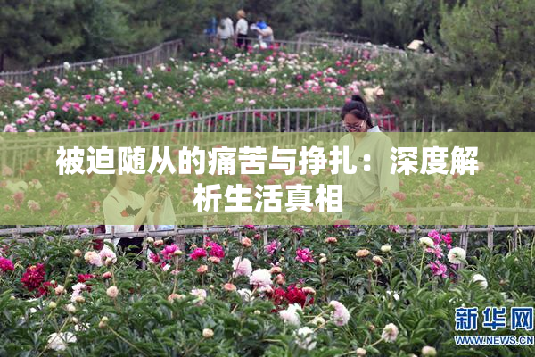 被迫随从的痛苦与挣扎：深度解析生活真相