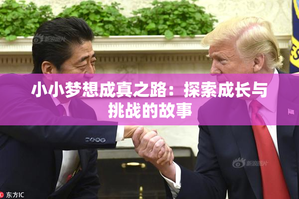 小小梦想成真之路：探索成长与挑战的故事