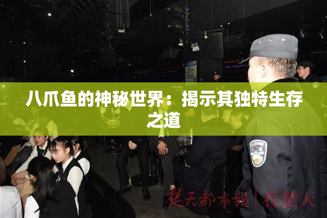 八爪鱼的神秘世界：揭示其独特生存之道