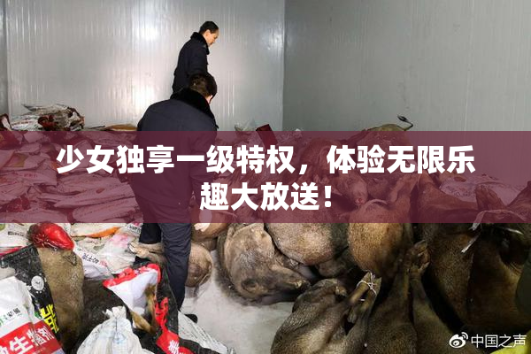少女独享一级特权，体验无限乐趣大放送！