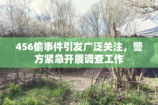 456偷事件引发广泛关注，警方紧急开展调查工作