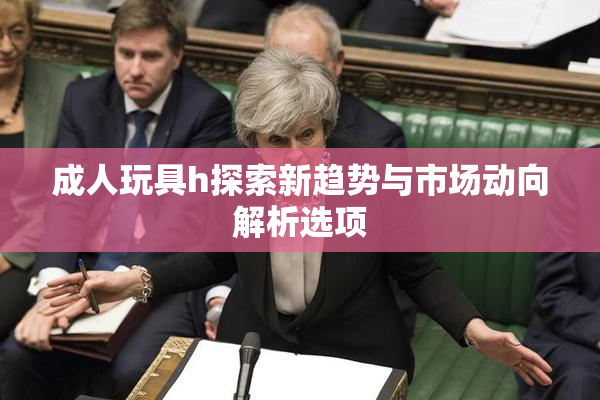 成人玩具h探索新趋势与市场动向解析选项